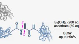 Davis/Anthony paper describes system that enables enzyme-free site-selective cleavage of dehydroalanine tagged proteins