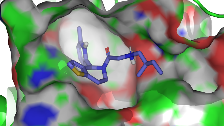 Docking pose of 'RUSKI-201' small-molecule inhibitor